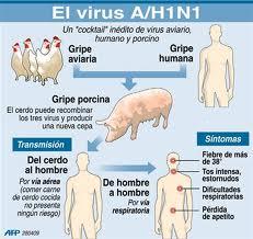 Lo que debemos saber del virus AH1N1